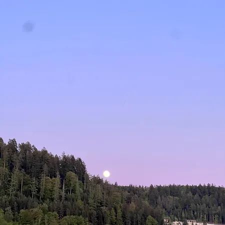 Schwarzwald *