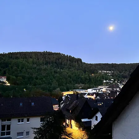 アパート Schwarzwald